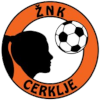 https://img.dzsmzs.com/img/football/team/26a677efcdd89a3407b165d3b180819e.png