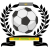 https://img.dzsmzs.com/img/football/team/6dc6d59af2f0962597b412473a6708ee.png