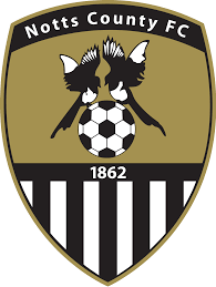 https://img.dzsmzs.com/img/football/team/9e230c89a846b9cadf91884918fa7611.png